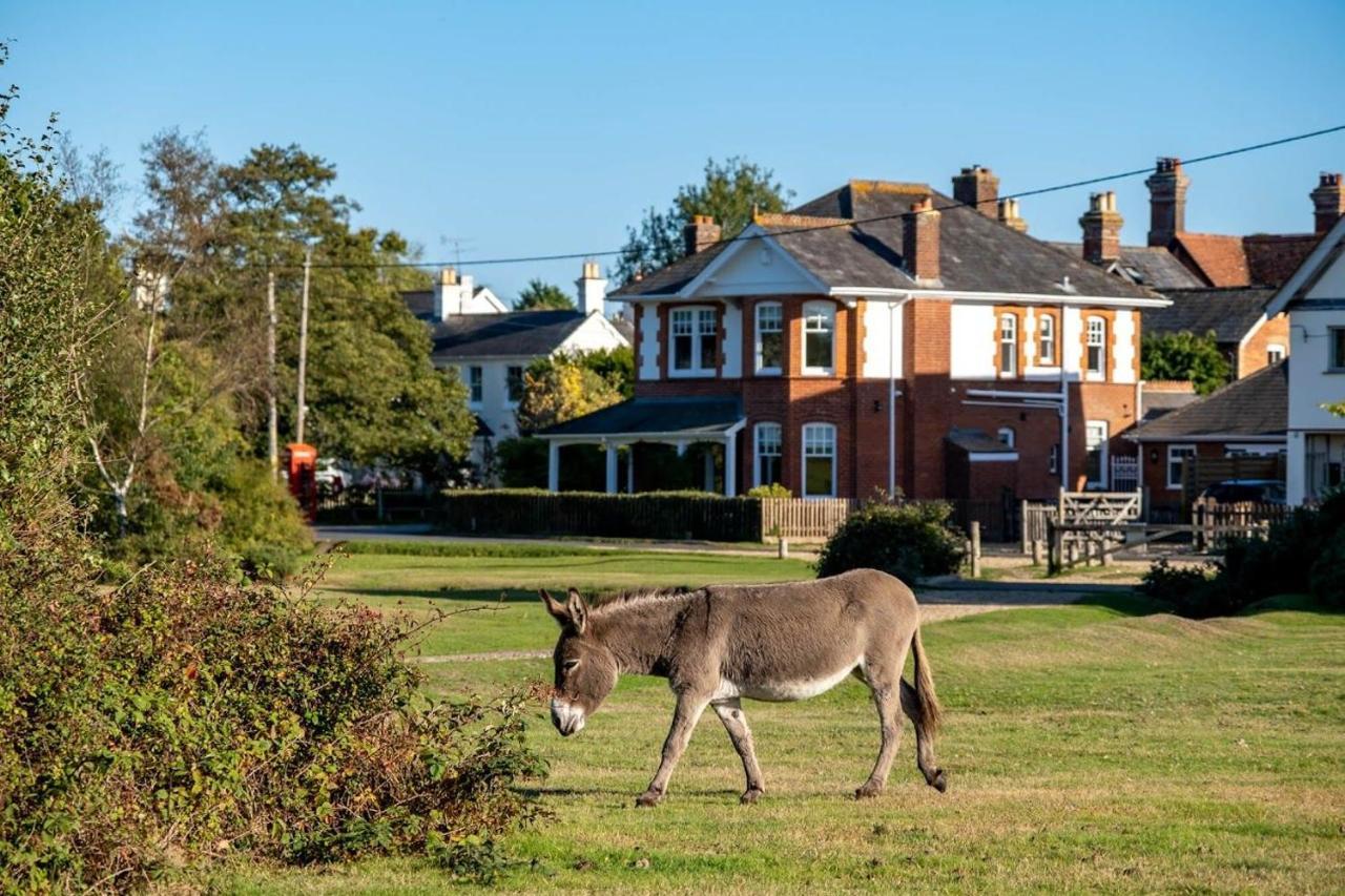 Surrey Brockenhurst